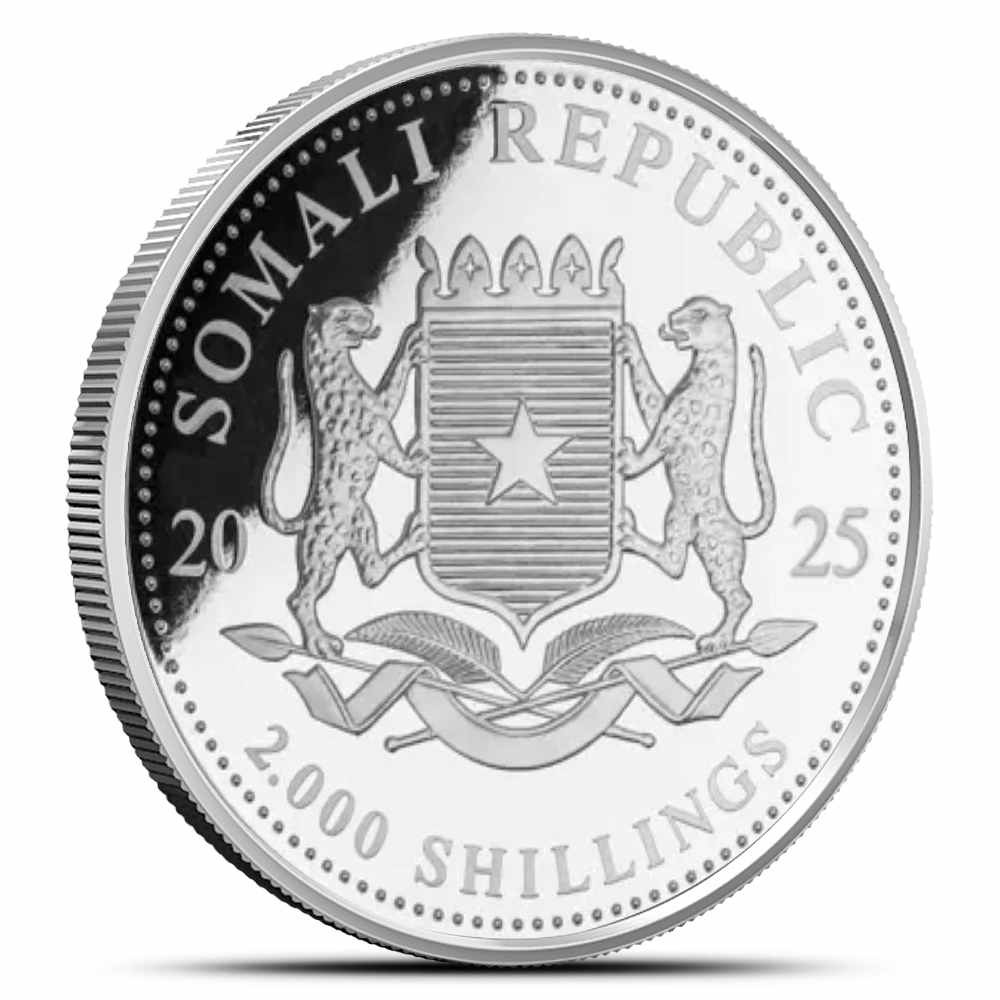 2025 1 Kilo Somalia Silver African Wildlife Leopard Coin (BU) - Image 2