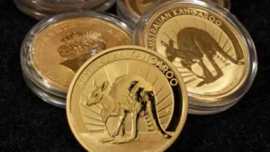 Australian Gold Kangaroos
