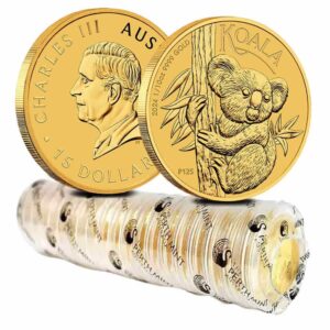 Australian Gold Koalas